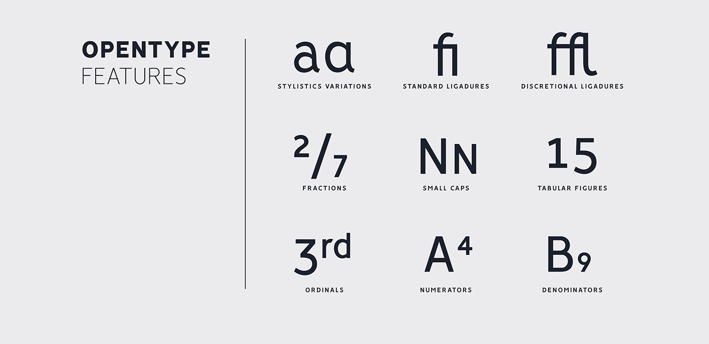 Free Download: Vision Family of 12 Fonts v10
