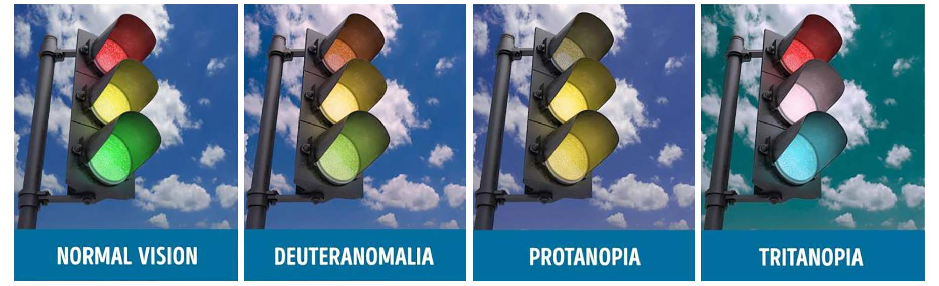 The Designer’s Guide to Color Contrast colorblindness