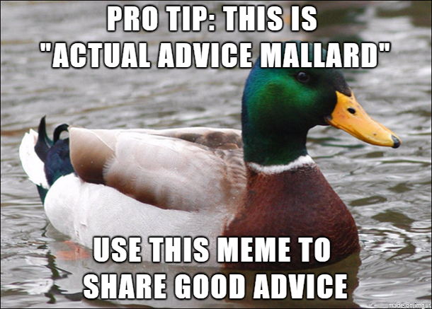 5 Rules for Using Memes in Your Content Actual Advice Mallard