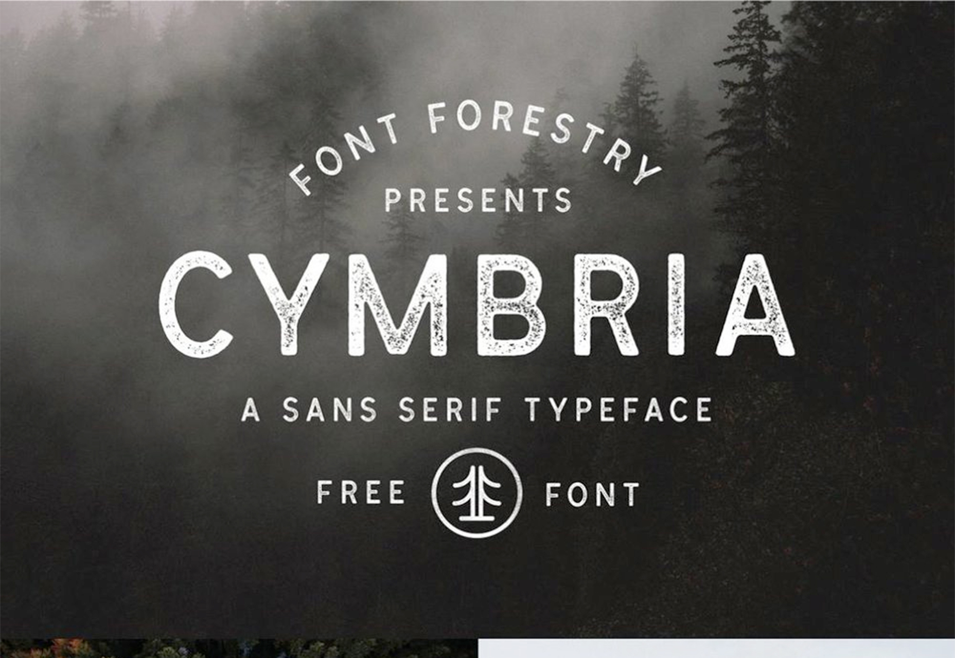 What’s New for Designers, June 2017 cymbria
