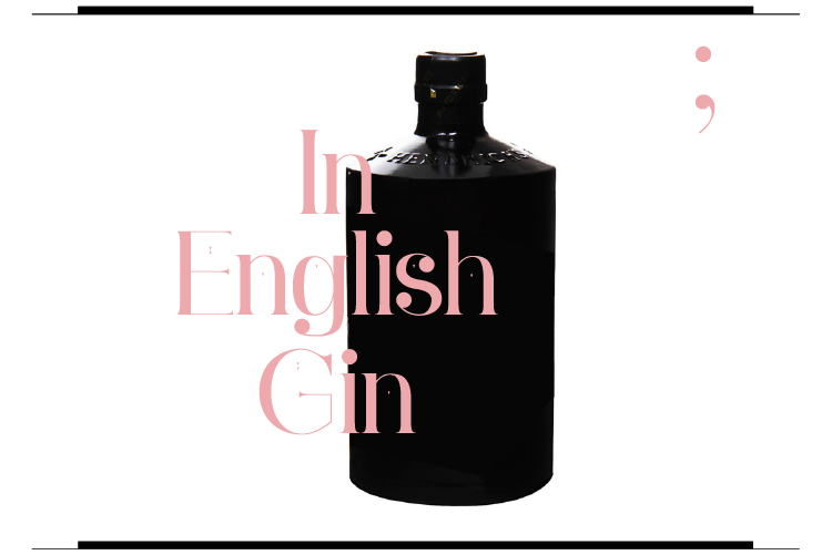 Free Download: Ginebra Font armado_pago_ginebra-05