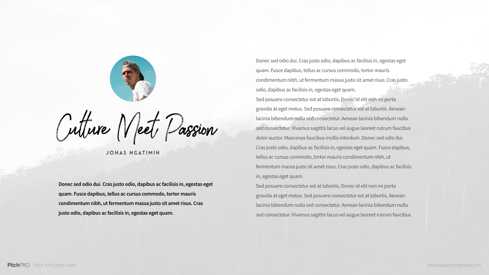 Free Download: PitchPRO Presentation Template with 50 Fully Editable Slides PitchPRO.004