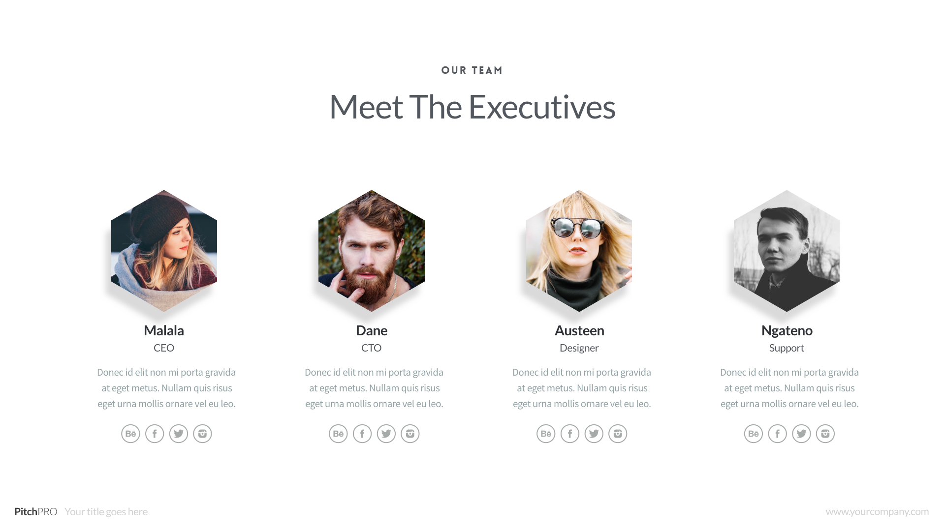 Free Download: PitchPRO Presentation Template with 50 Fully Editable Slides PitchPRO.030