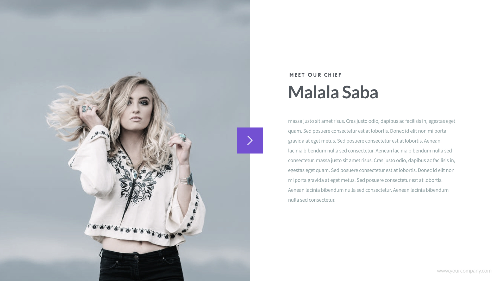 Free Download: PitchPRO Presentation Template with 50 Fully Editable Slides PitchPRO.032