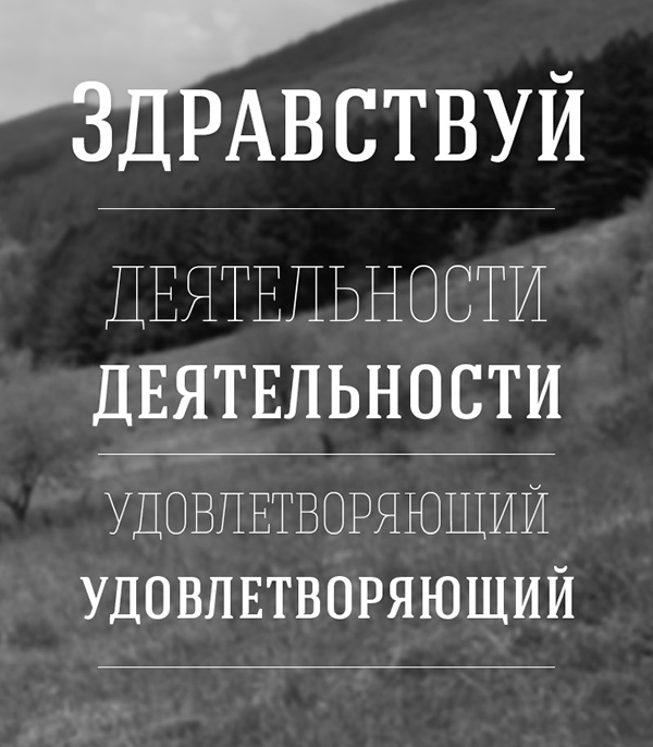 Free Download: Hagin Serif h6