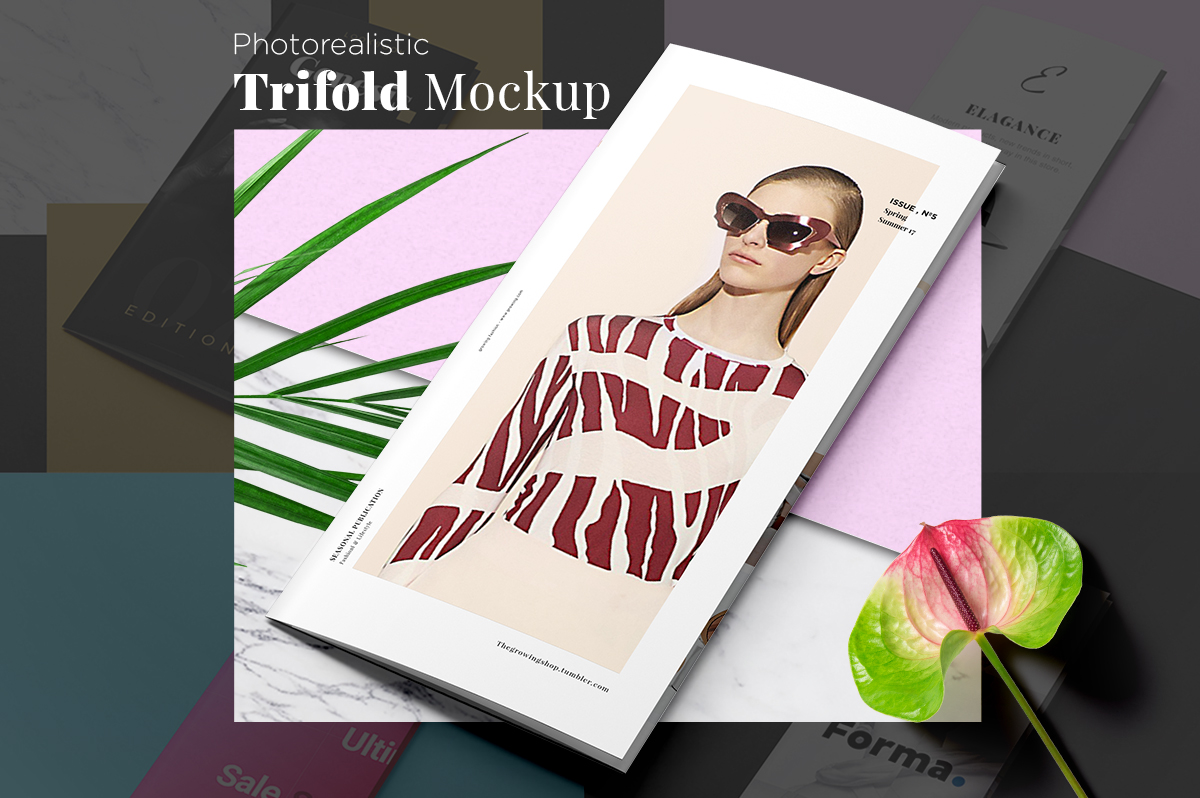 Free Download: Fashion Trifold Mockup Main Thumbnail