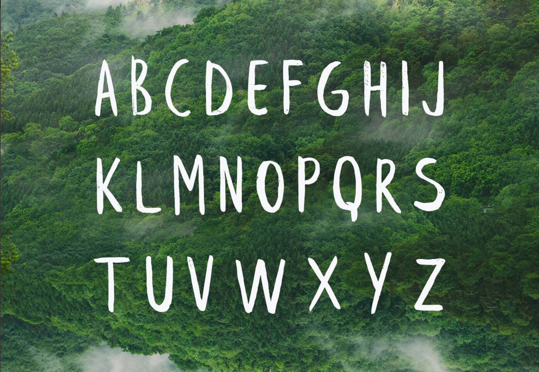 leafyextended