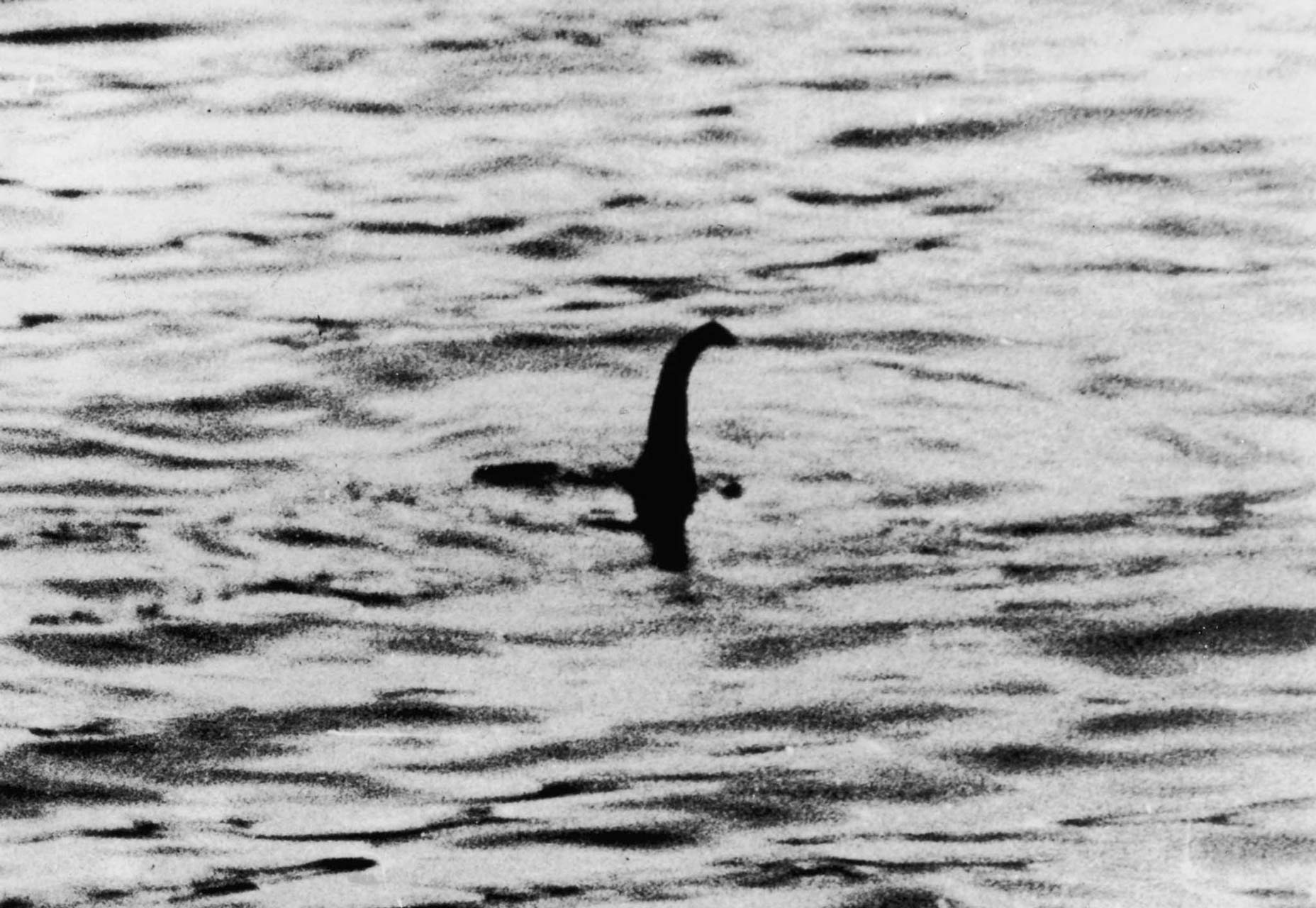 5 psychology rules every UX designer must know 17-nessie-getty
