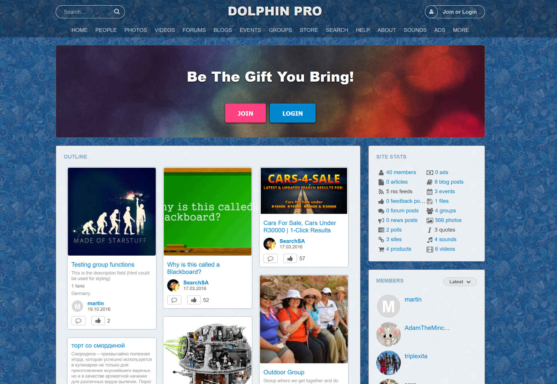 The ultimate guide to CMS, part 1 08-dolphinpro