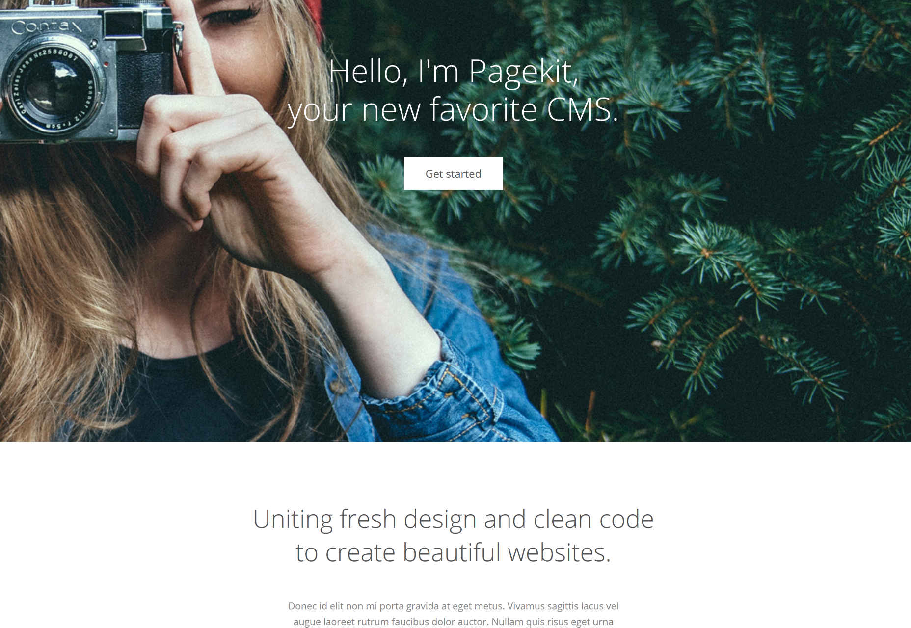 The ultimate guide to CMS, part 1 10-pagekit