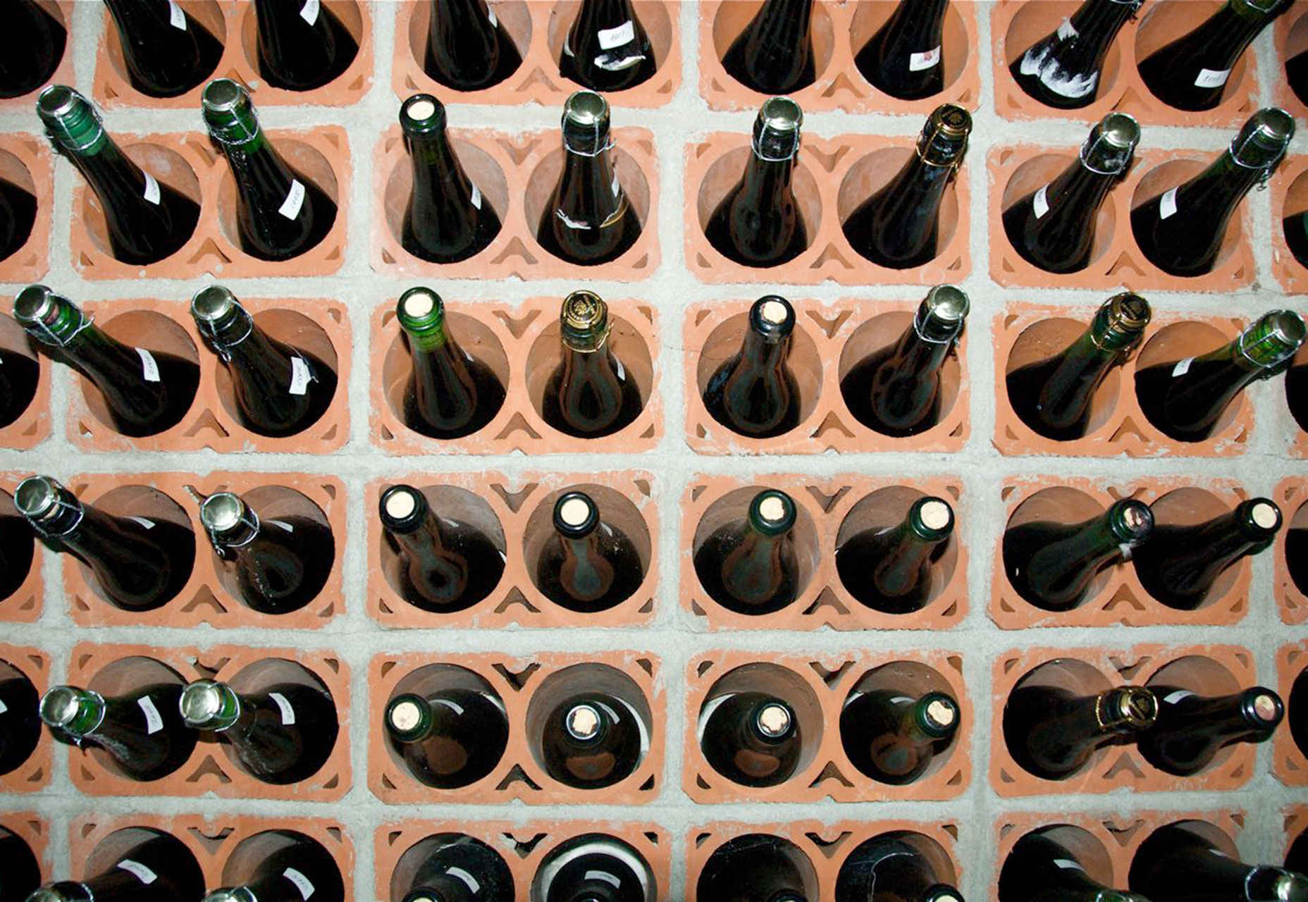 bottle-grid