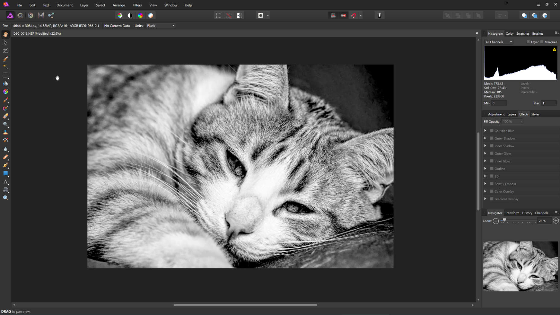 Affinity Photo comes to Windows photo
