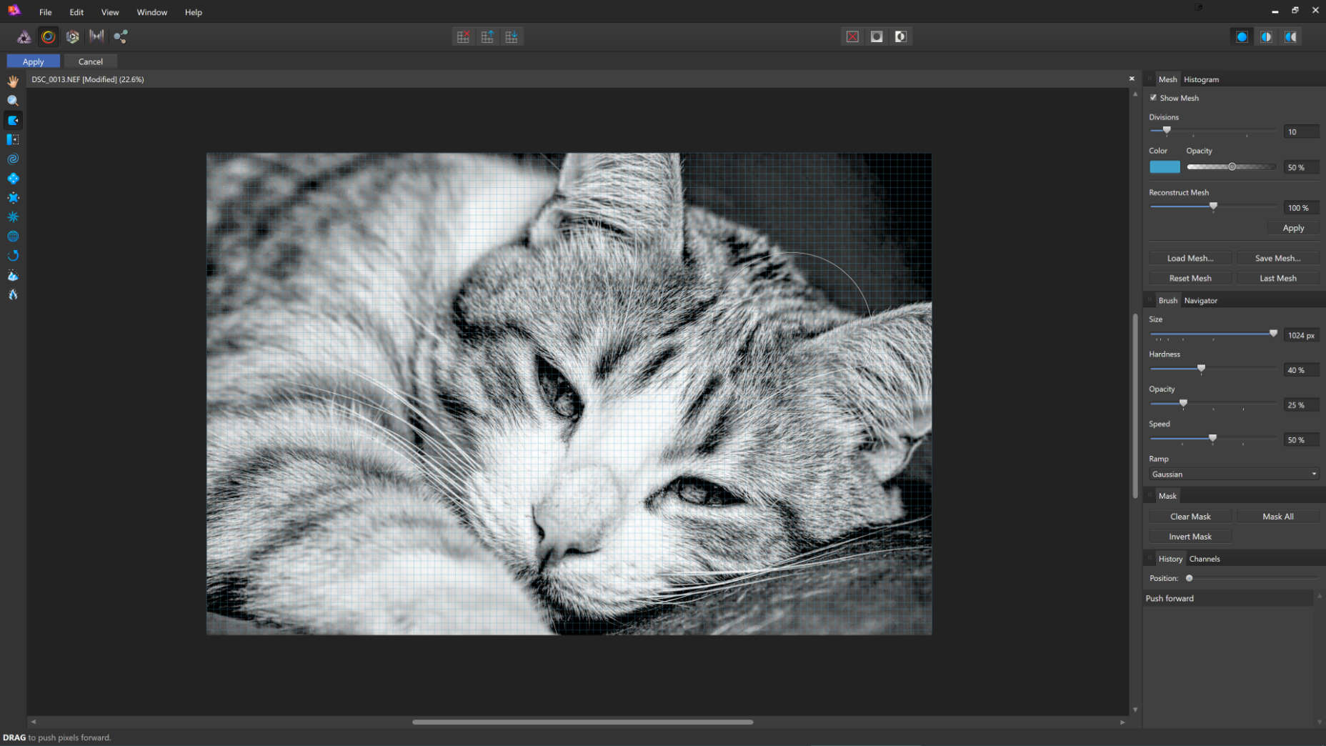 Affinity Photo comes to Windows liquify