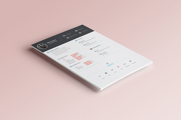 Free Download: CV Template 2cv