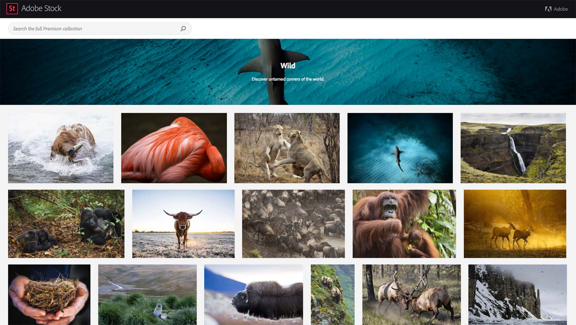 Adobe reveal major Creative Cloud update premium