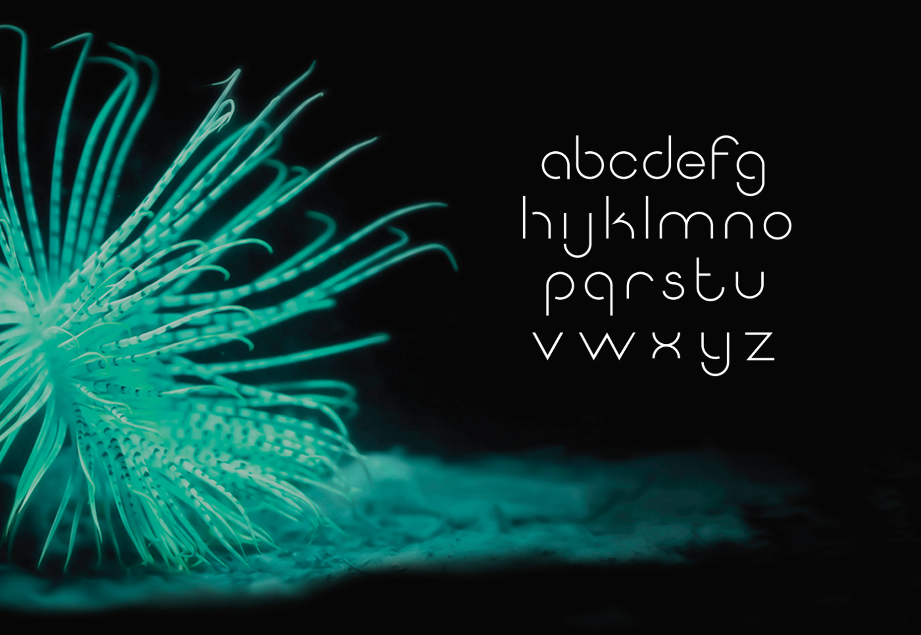 50 fresh resources designers, May 2016 Quantum: Sans Serif Thin Typeface