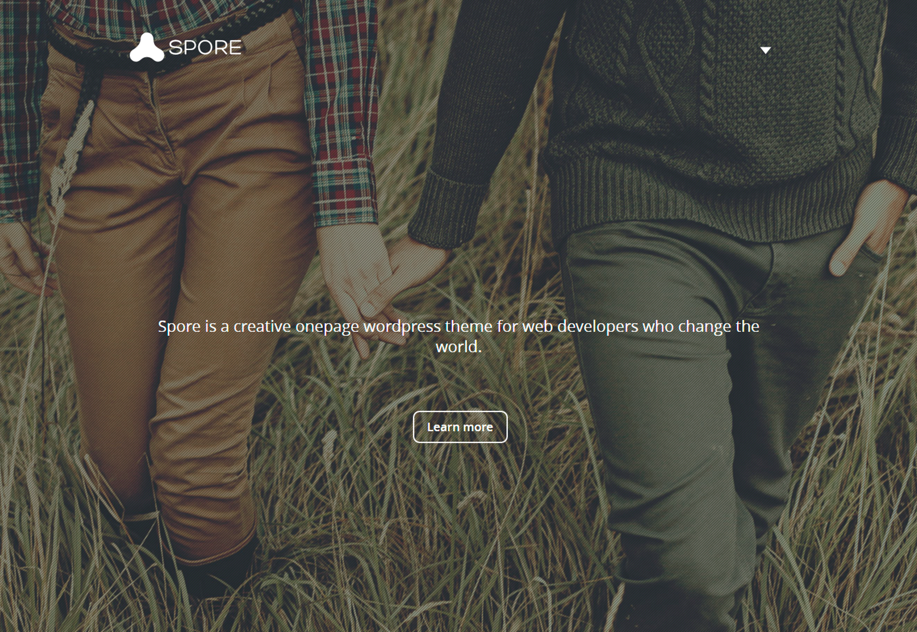 50 fresh resources designers, May 2016 Spore: HTML5 Masonry Blog Template