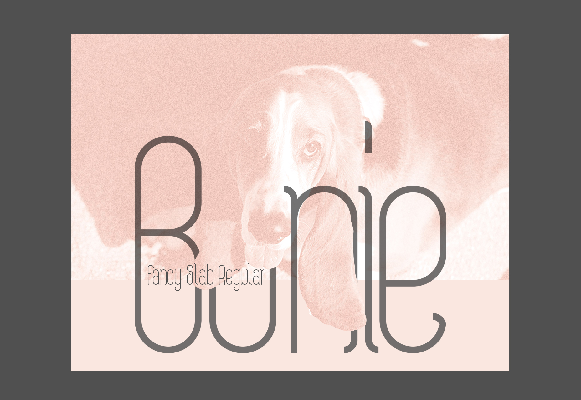 50+ fresh resources for designers, January 2016 Bonie: Fancy Slab Regular Typeface