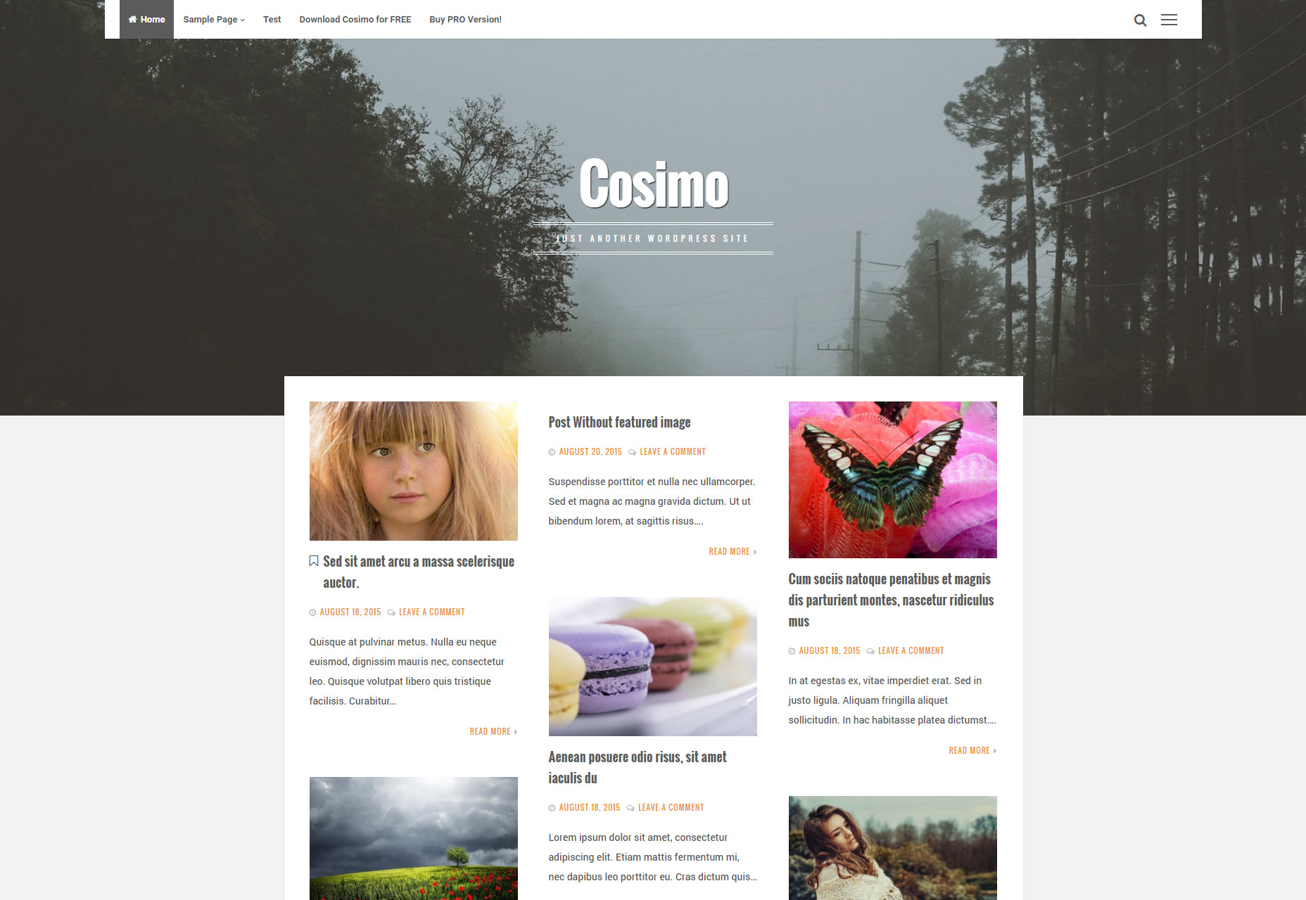50+ fresh resources for designers, January 2016 Cosimo: Blog & Portfolio WordPress Theme