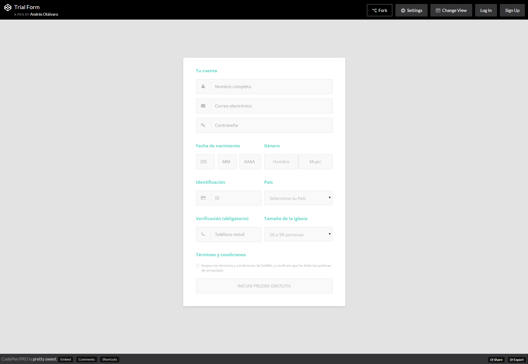 Trial Form: Nice CSS Form Template