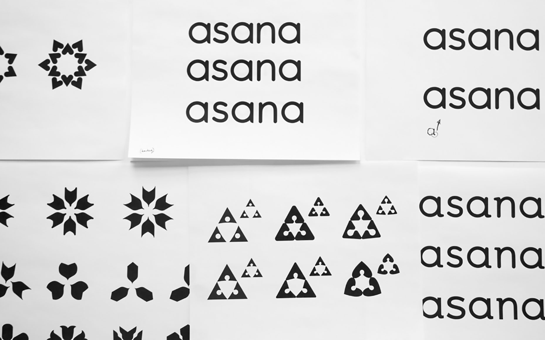 Circling ourselves: the story behind Asana’s rebrand iteration