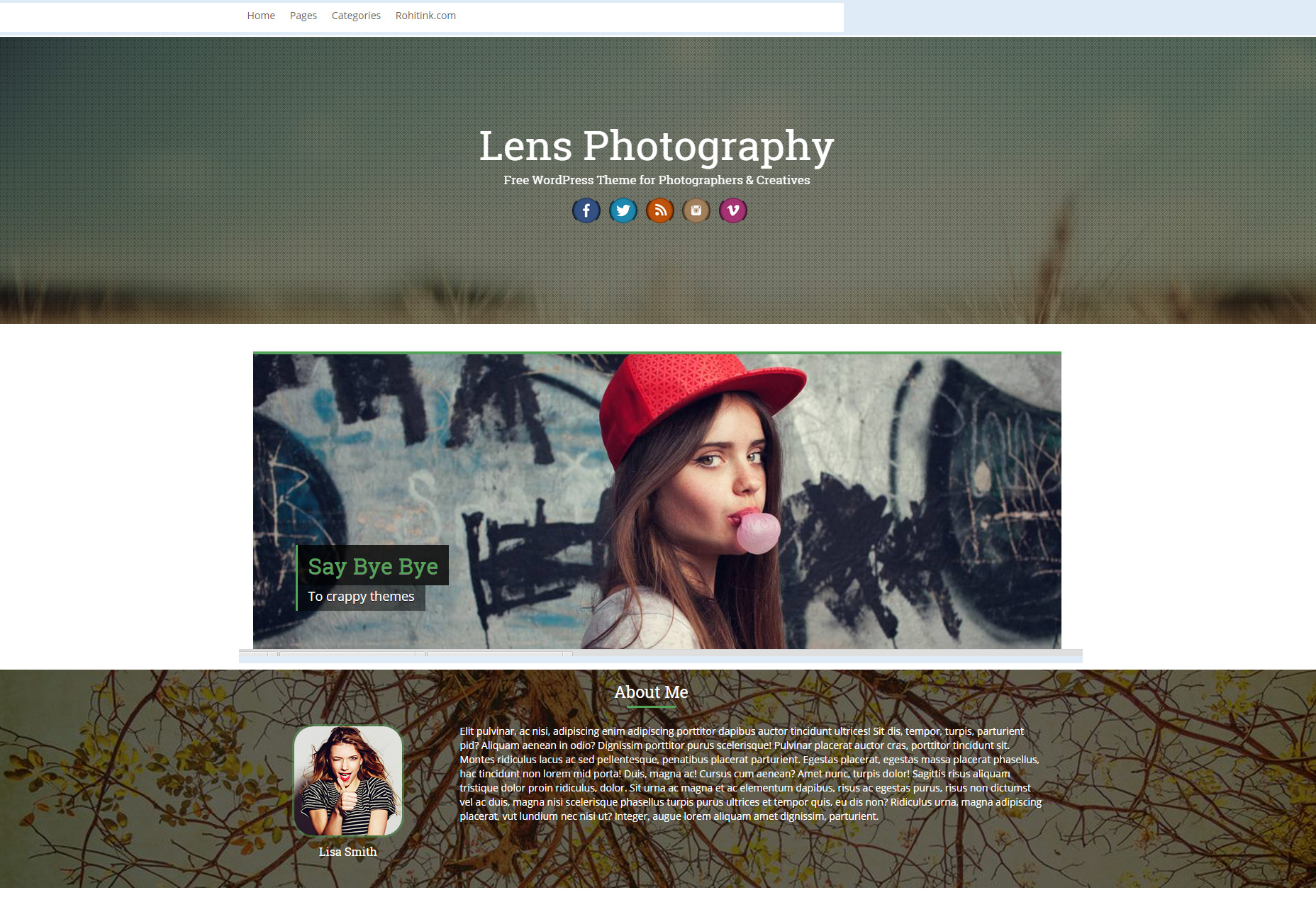 50+ fresh resources for designers, October 2015 Lens: Professional Photography WordPress Theme