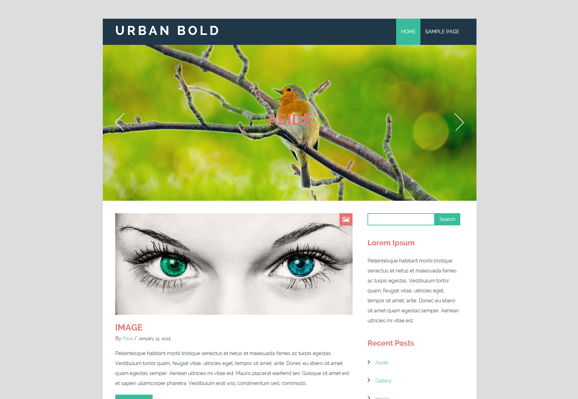 50+ incredible freebies for web designers, June 2015 Urban Bold: Refreshing Blogging WordPress Theme