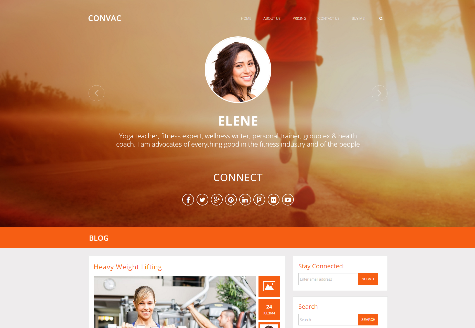 50+ incredible freebies for web designers, June 2015 Startup WP Themes, a Complete Collection