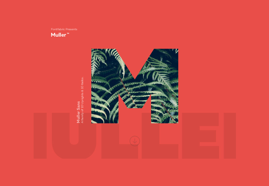 Muller Font