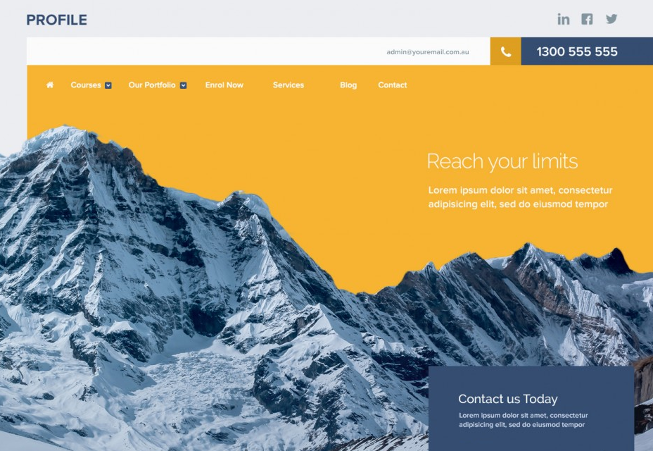 Profile: Website PSD File