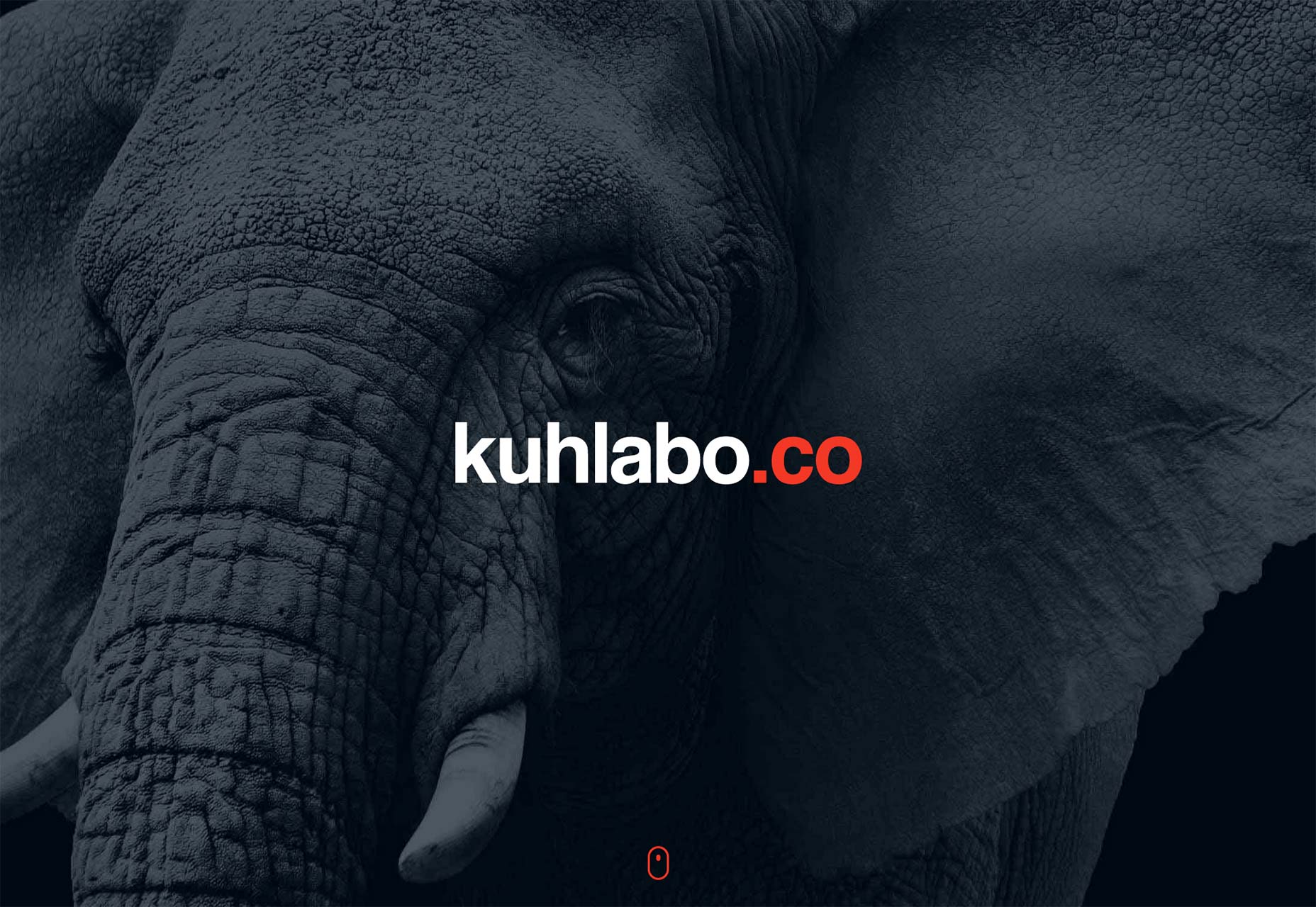 6 essential website photography trends for 2015 002