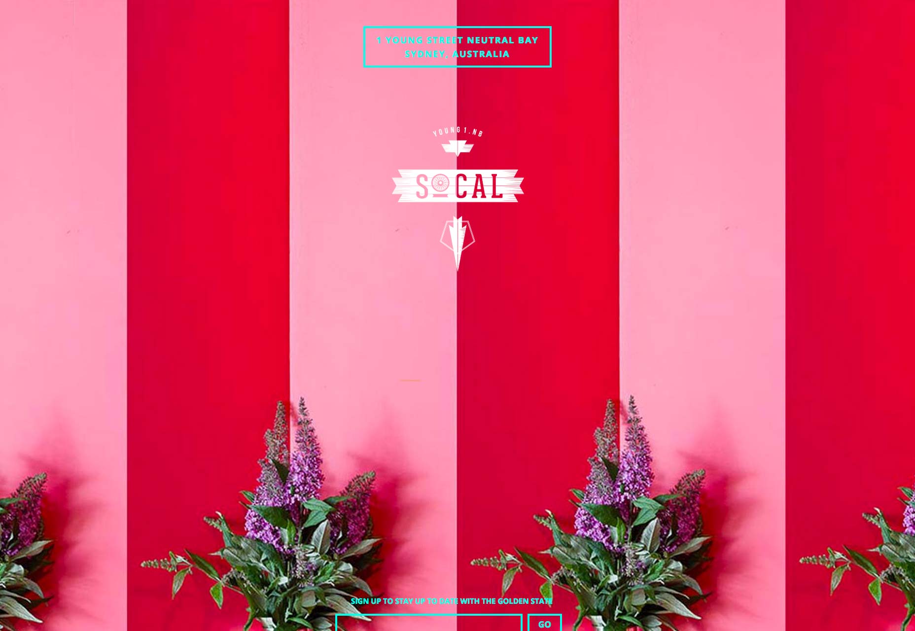 6 essential website photography trends for 2015 020