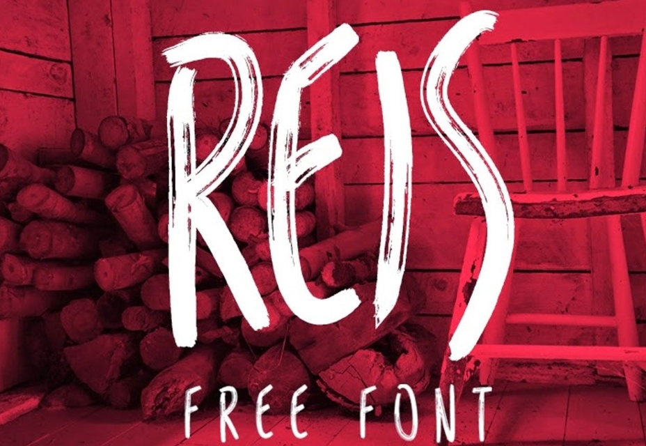 50 incredible freebies for web designers, February 2015 Reis Font