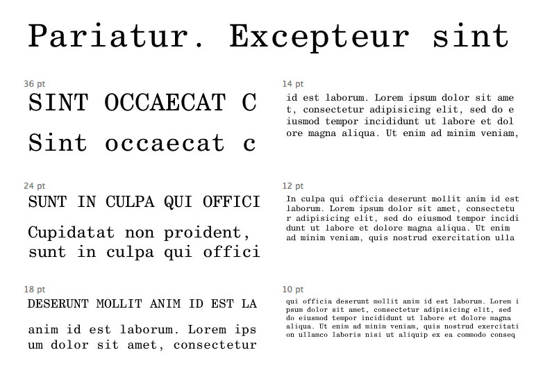 Improve your coding with 25 hyper legible fonts for programmers century
