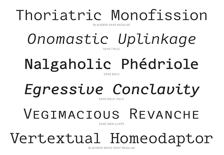 Improve your coding with 25 hyper legible fonts for programmers blackbox