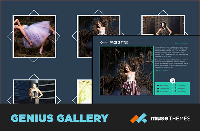 15+ widgets that take Adobe Muse to the next level genius