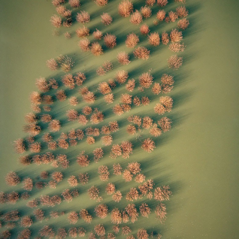 The best of DesignFaves.com, January 2014 005