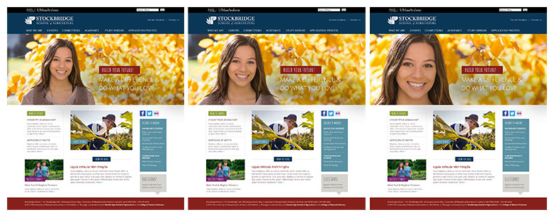 How to harness the power of a well-cropped photo 012
