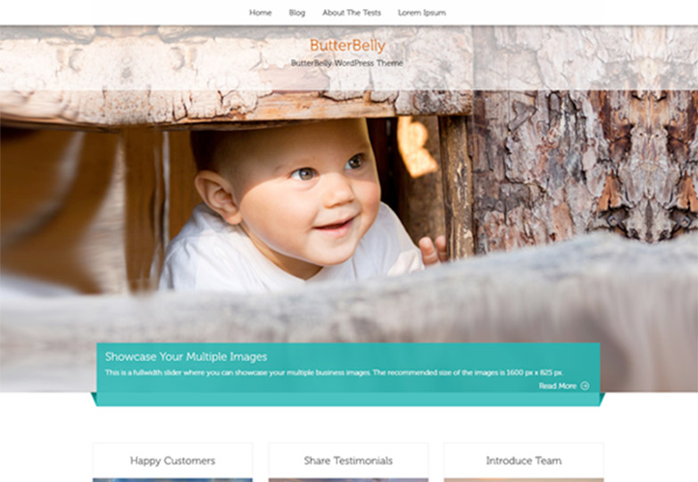 The best free WordPress themes, December 2013 butterbelly