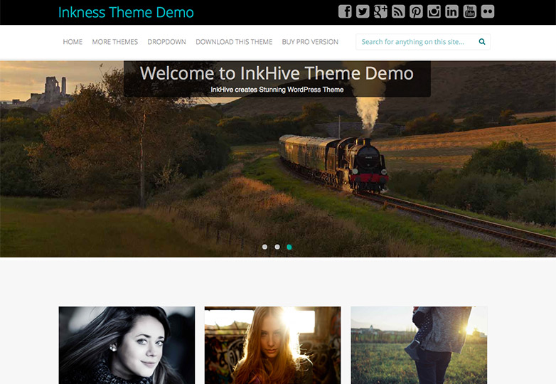 The best free WordPress themes, December 2013 inkness