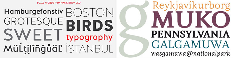The best fonts of 2013 jan_runnersup