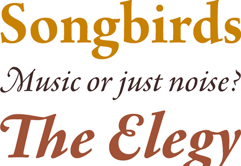The best fonts of 2013 agmena