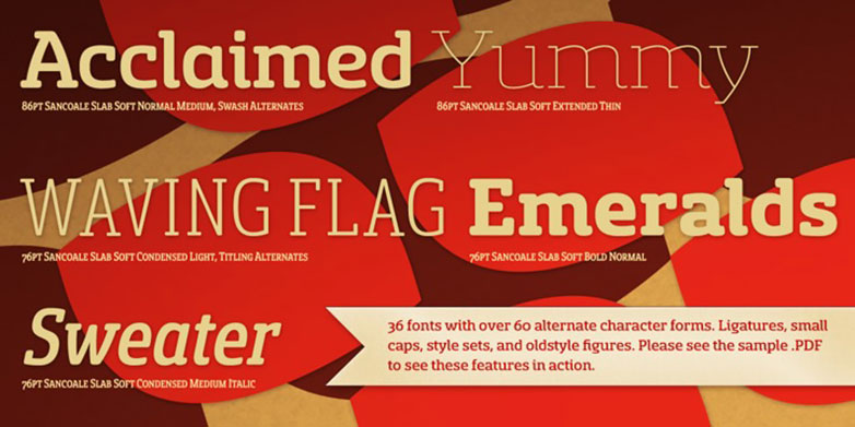 The best fonts of 2013 sancoale