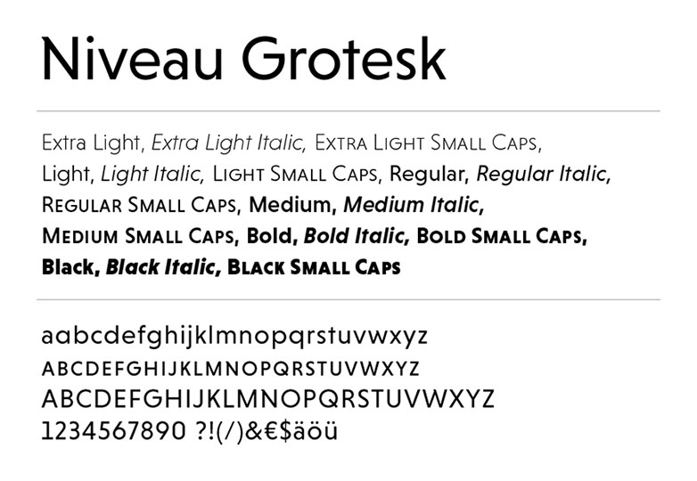 The best fonts of 2013 niveau