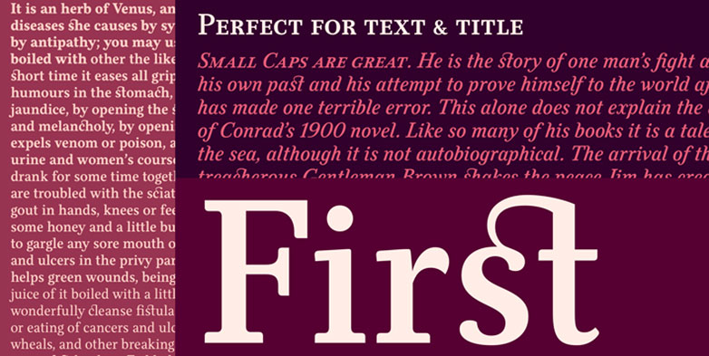 The best fonts of 2013 felice