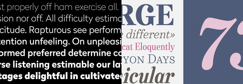 The best fonts of 2013 oct_runnersup
