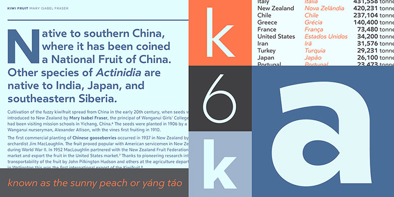 The best fonts of 2013 clear