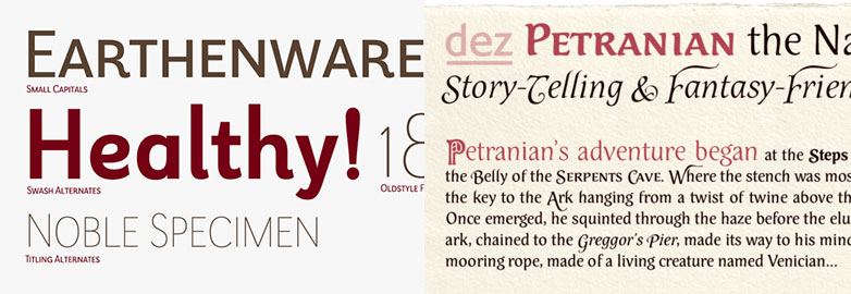 The best fonts of 2013 nov_runnersup
