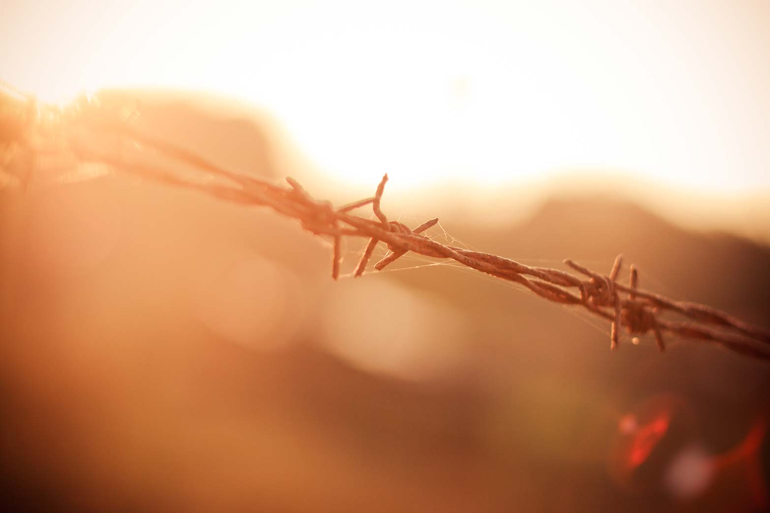 Free download: Royalty free stock images from Picjumbo picjumbo.com_IMG_1166
