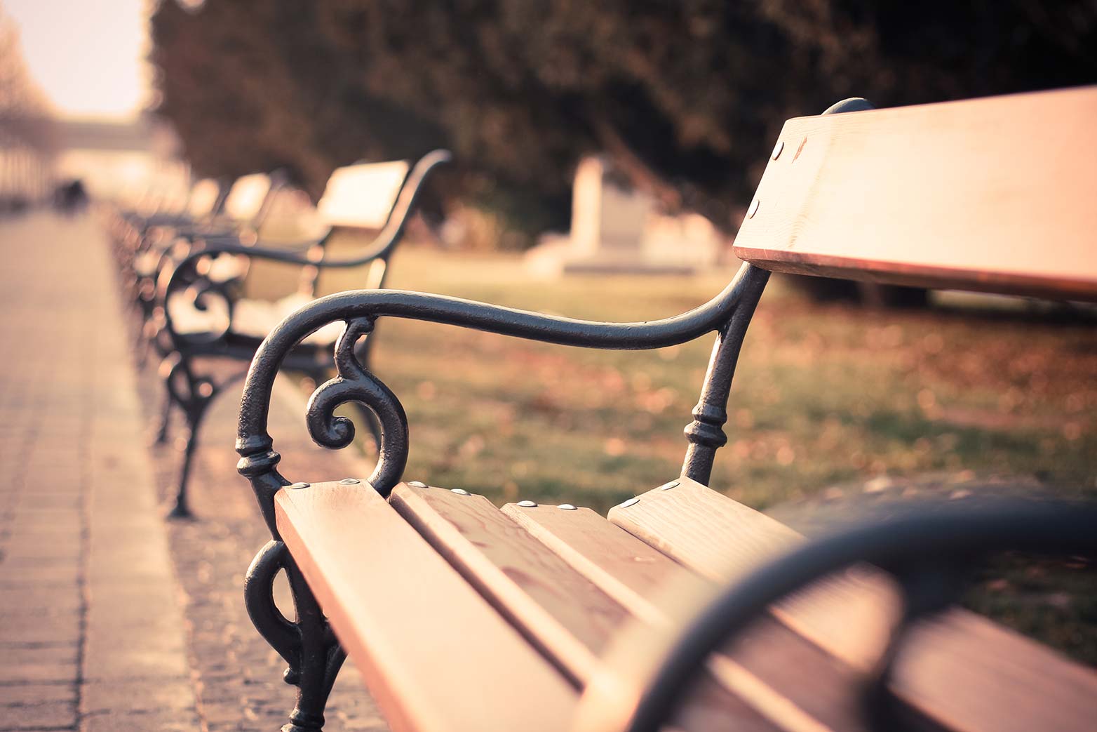 Free download: Royalty free stock images from Picjumbo picjumbo.com_IMG_1275